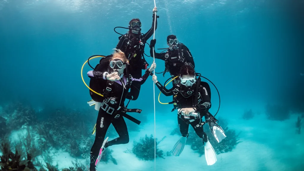 Certified Diver experience led by trainers